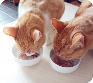 手術後の食事や運動について