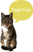 pagetop